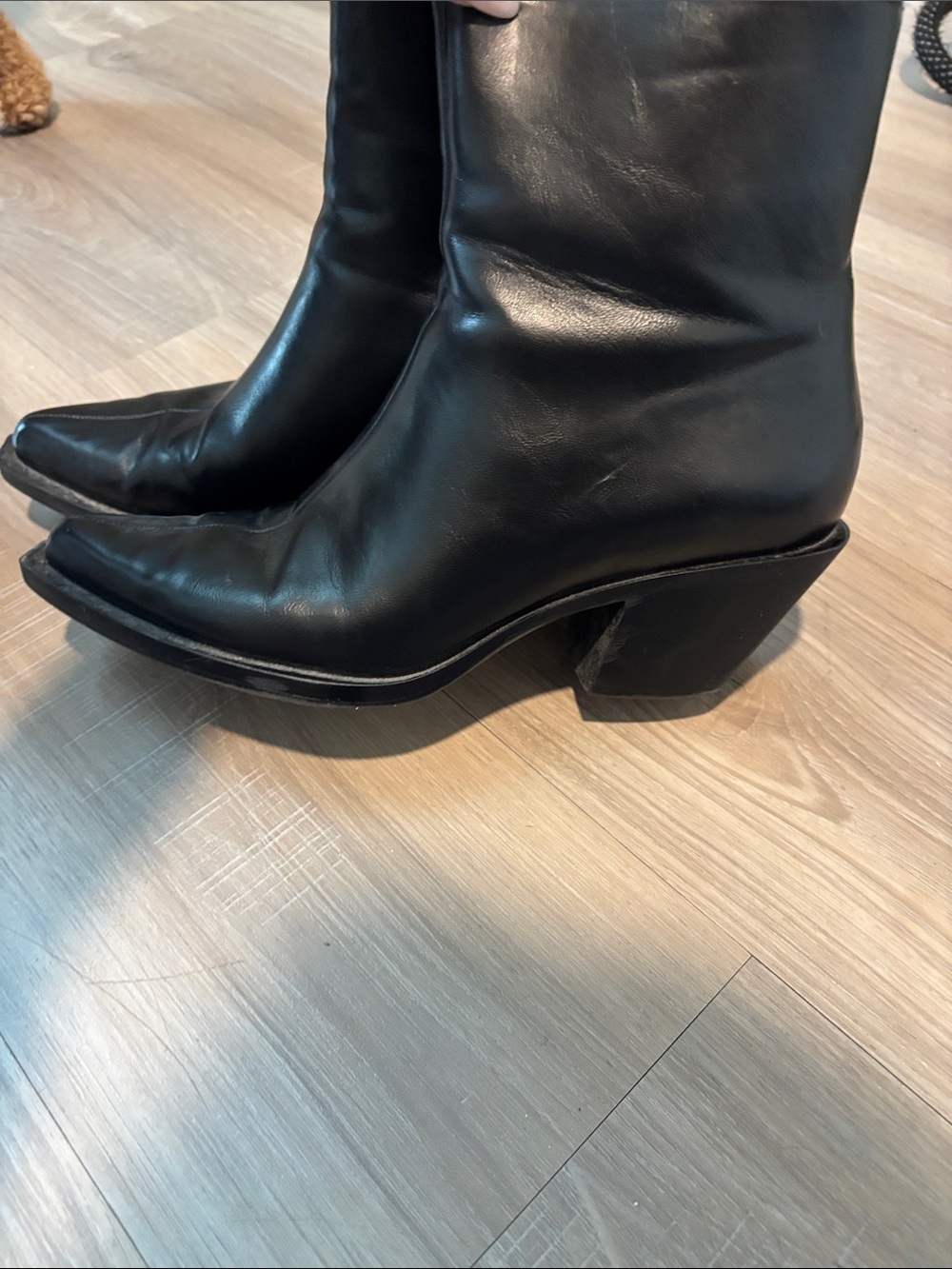 Zara Black Leather Pointed Toe Ankle Boots
